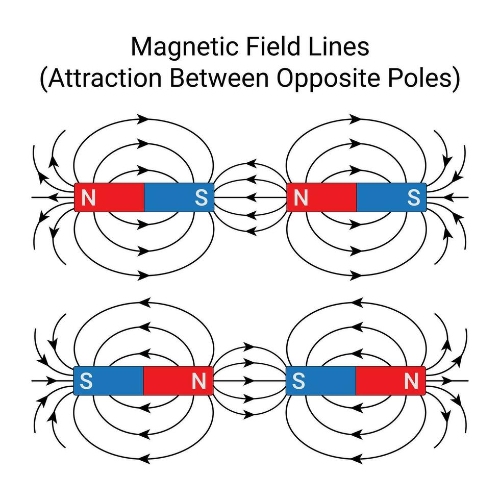 motsatt poler av magnet locka till sig varje Övrig. magnetisk fält rader. vektor