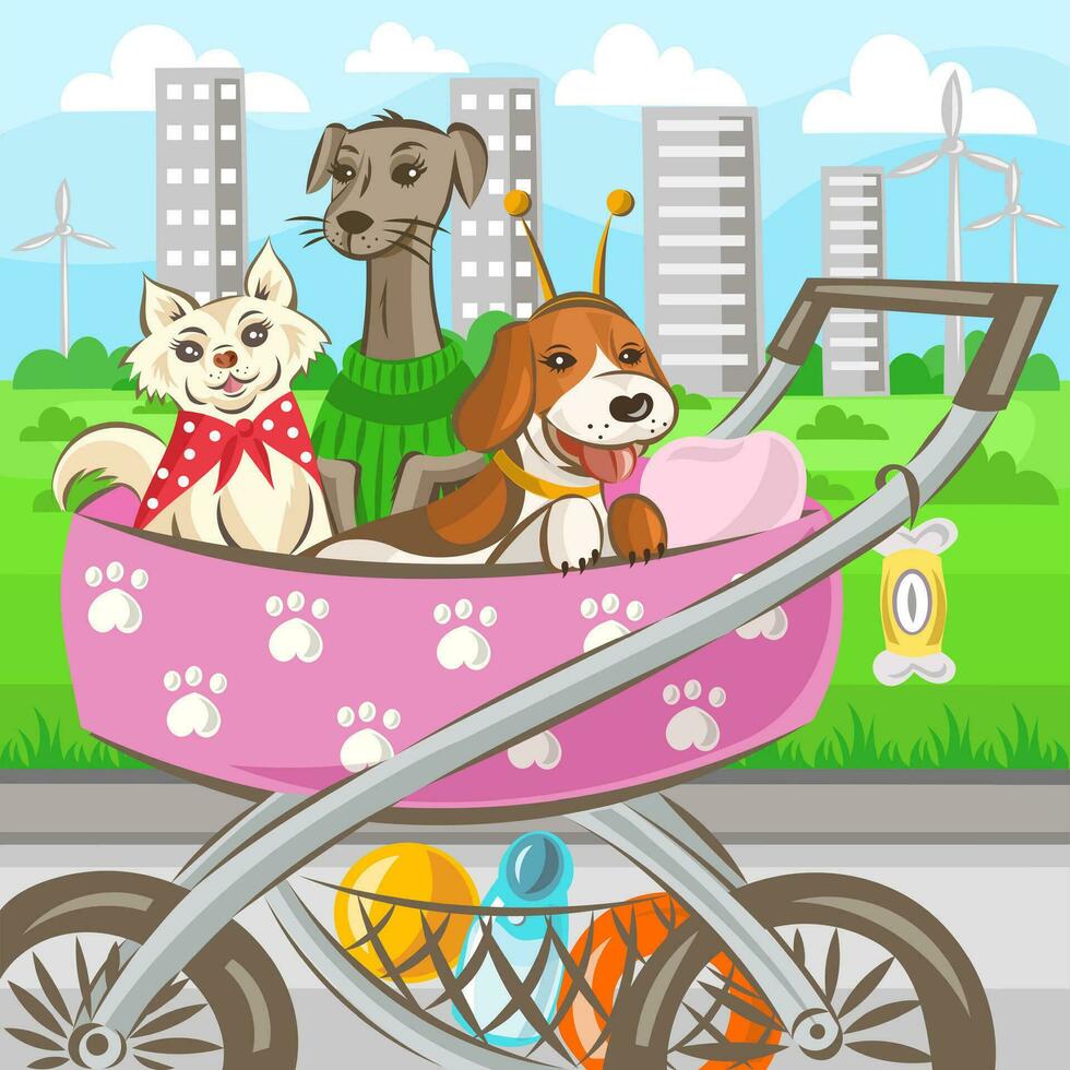 tre Hem hundar chihuahua, vinthund och beagle i sittvagn under gående i parkera - vektor illustration