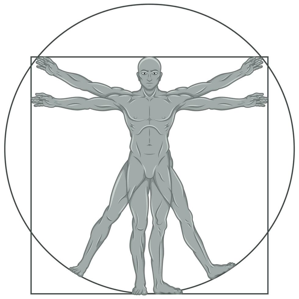 vitruvian man vektor design