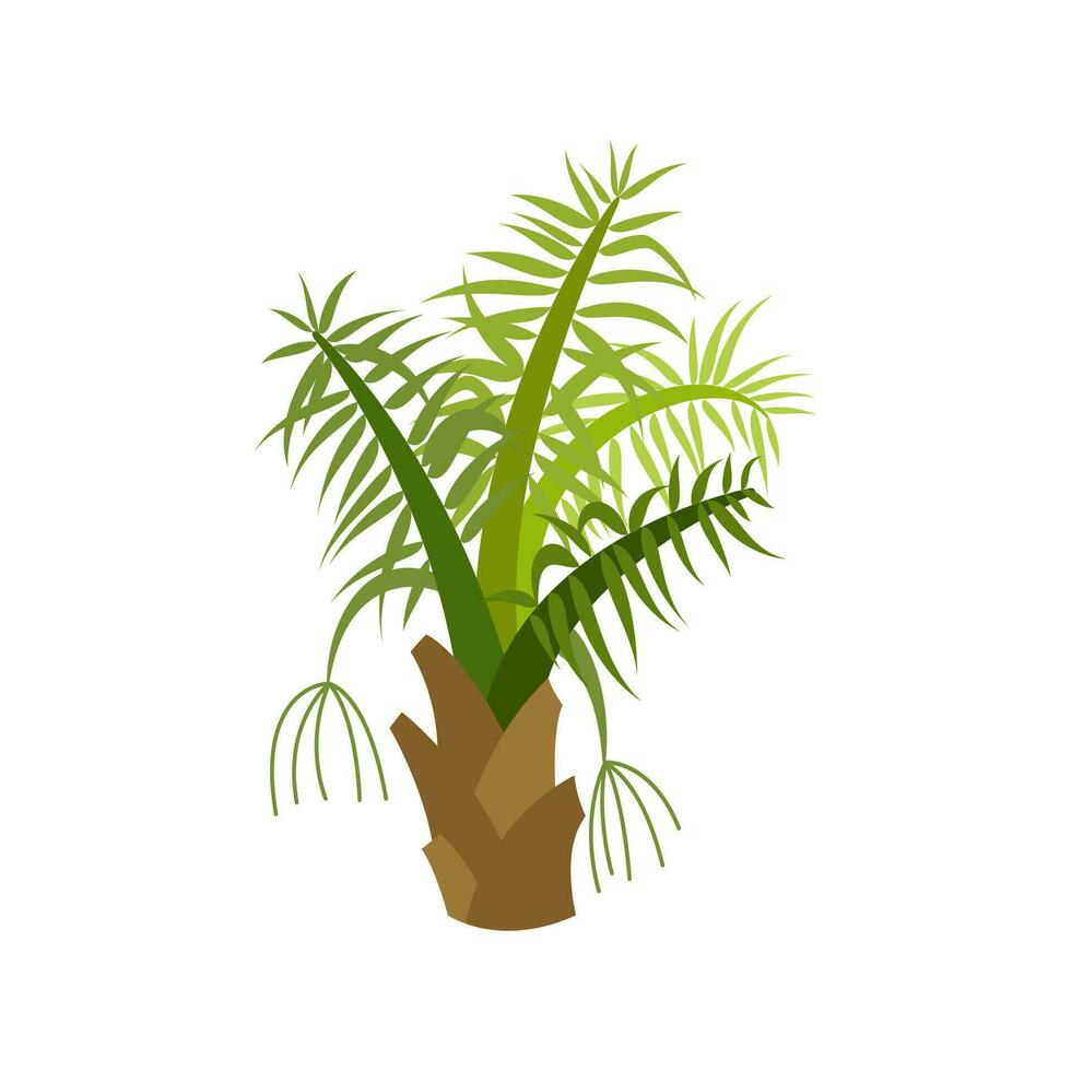 Palme Bäume sind isoliert auf Weiß Hintergrund. schön Palme Baum Illustration. Kokosnuss Baum Abbildungen vektor
