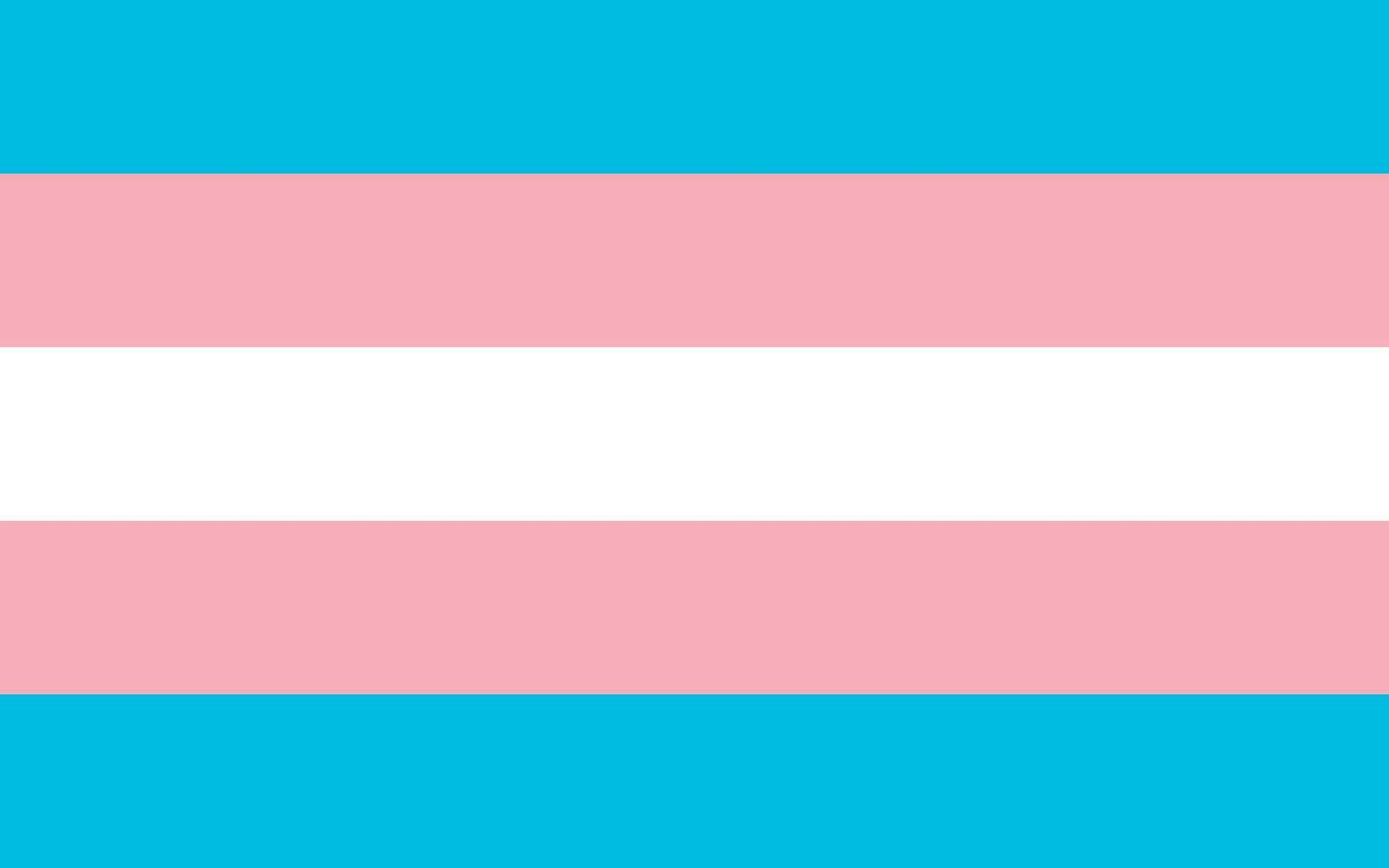 transgender pride flagga sexuell identitet pride flagga vektor