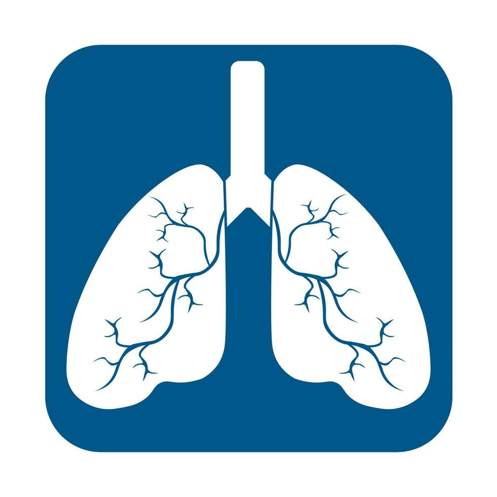 Lungenmenschikone, Atmungssystem gesunde Lungenanatomie flaches medizinisches Organikone vektor