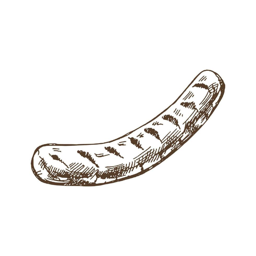 organisch Lebensmittel. Hand gezeichnet Vektor skizzieren von Grill gegrillt Wurst. Gekritzel Jahrgang Illustration. Dekorationen zum das Speisekarte von Cafés und Etiketten. graviert Bild.