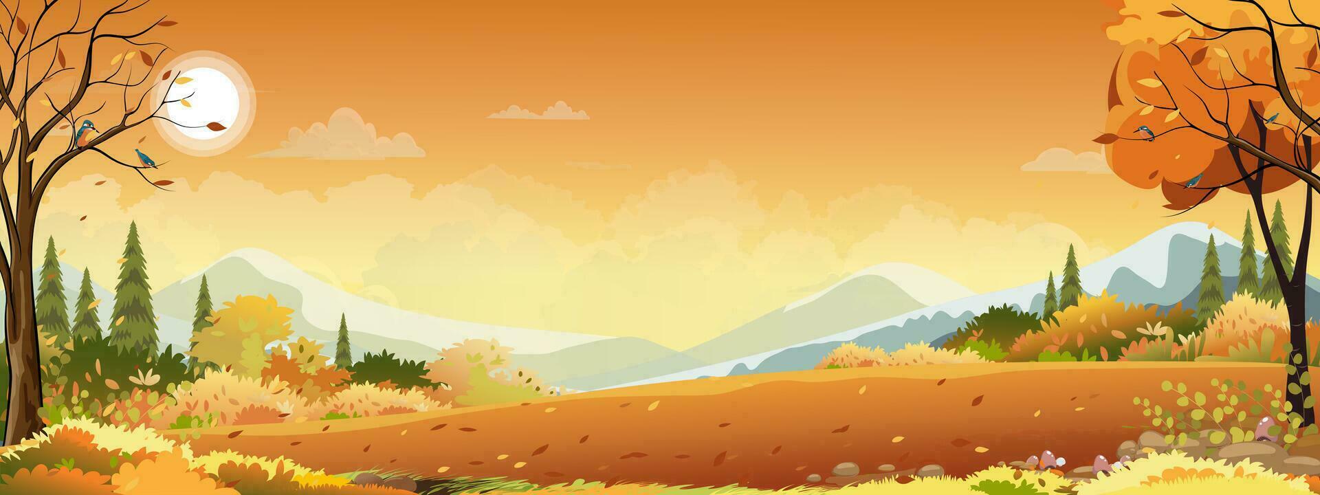 höst panorama landskap bruka fält med orange himmel, skön solnedgång i höst landsbygden panorama se med gul lövverk, vektor tecknad serie falla säsong med kopia Plats för baner bakgrund