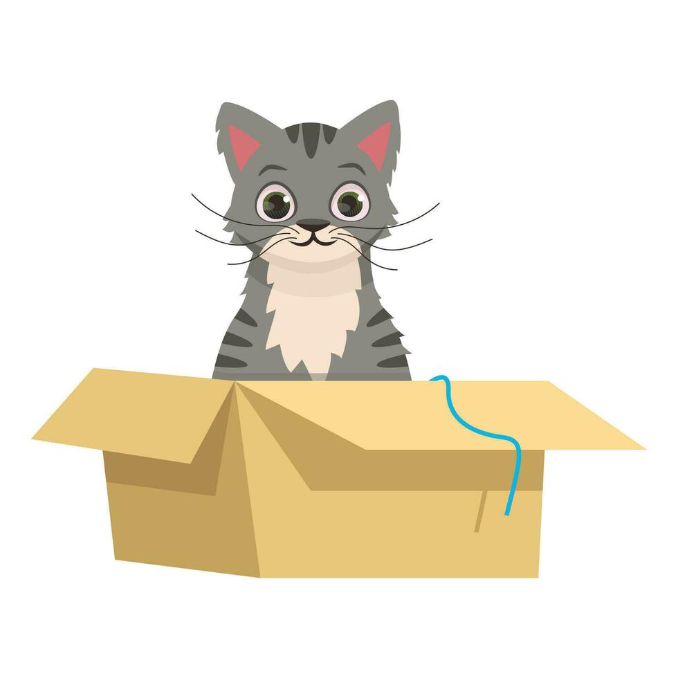 süß grau Tabby Katze sitzt im ein Kasten. Vektor Grafik.