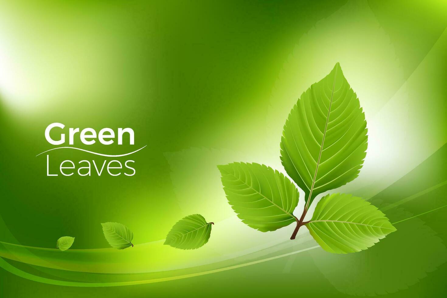 3d Grün Blätter realistisch Vektor auf Grün Luxus Hintergrund Gradient Gittergewebe, minimal Szene zum Produkte Vitrine, Beförderung Anzeige, Öko Umfeld. Sie können benutzt zum Marketing Förderung, drucken Anzeige.