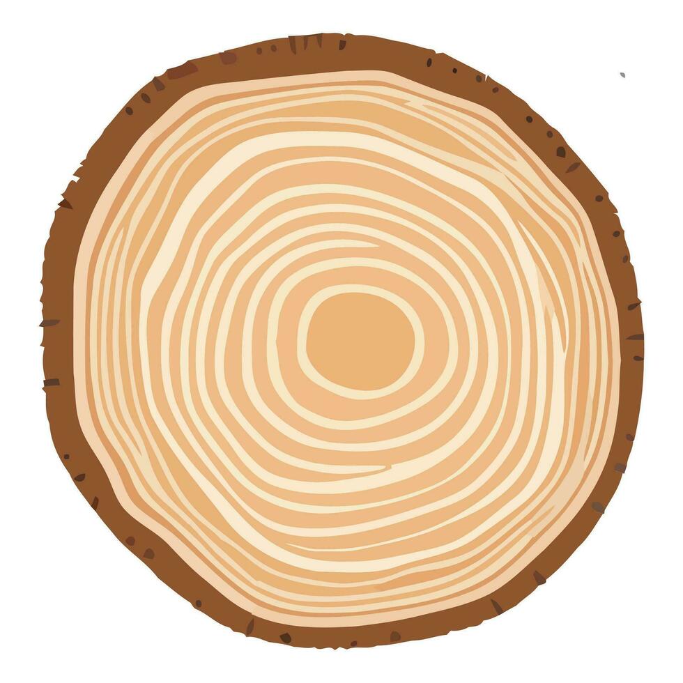 Baum Kofferraum Holz Ring. Baum Kofferraum Kreuz Abschnitt. Holz Scheibe Schnitt isoliert auf Weiß Hintergrund. vektor