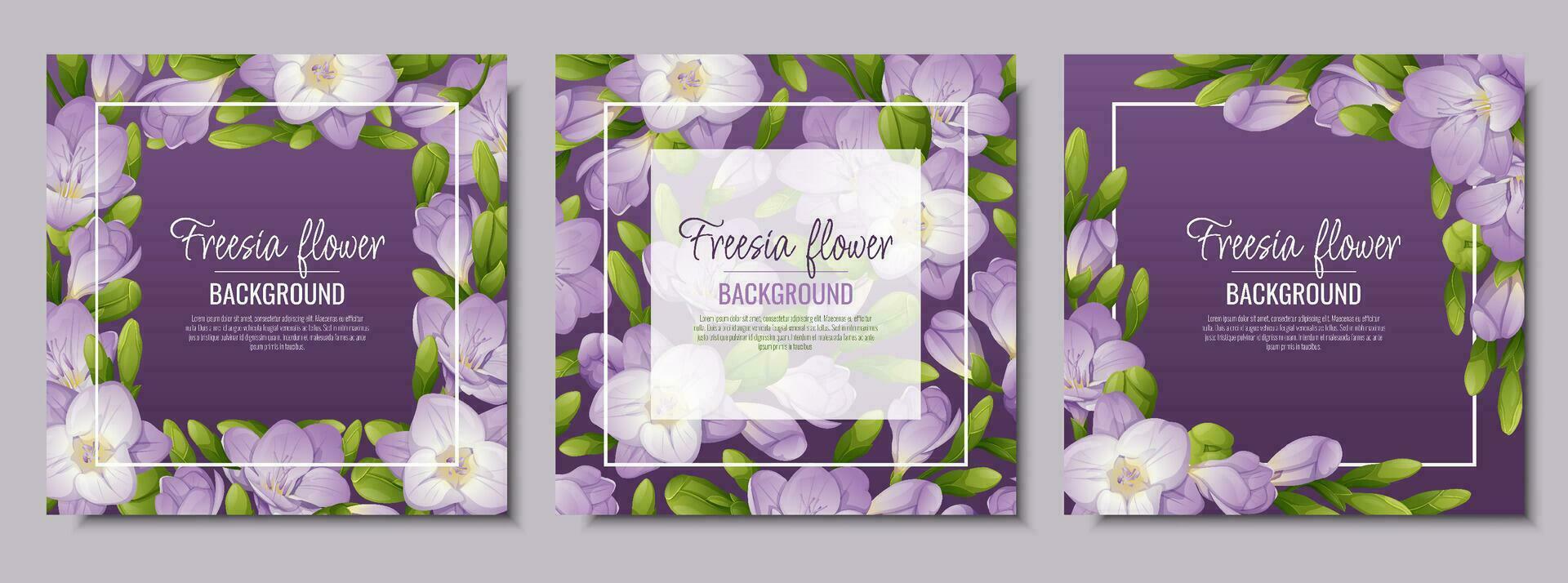 uppsättning av vykort med fresia blommor. skön ram med lila blommor och knoppar. vår kort, baner, bröllop inbjudan. vektor