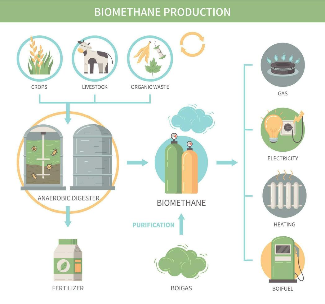 Biomethan Produktion Infografiken vektor