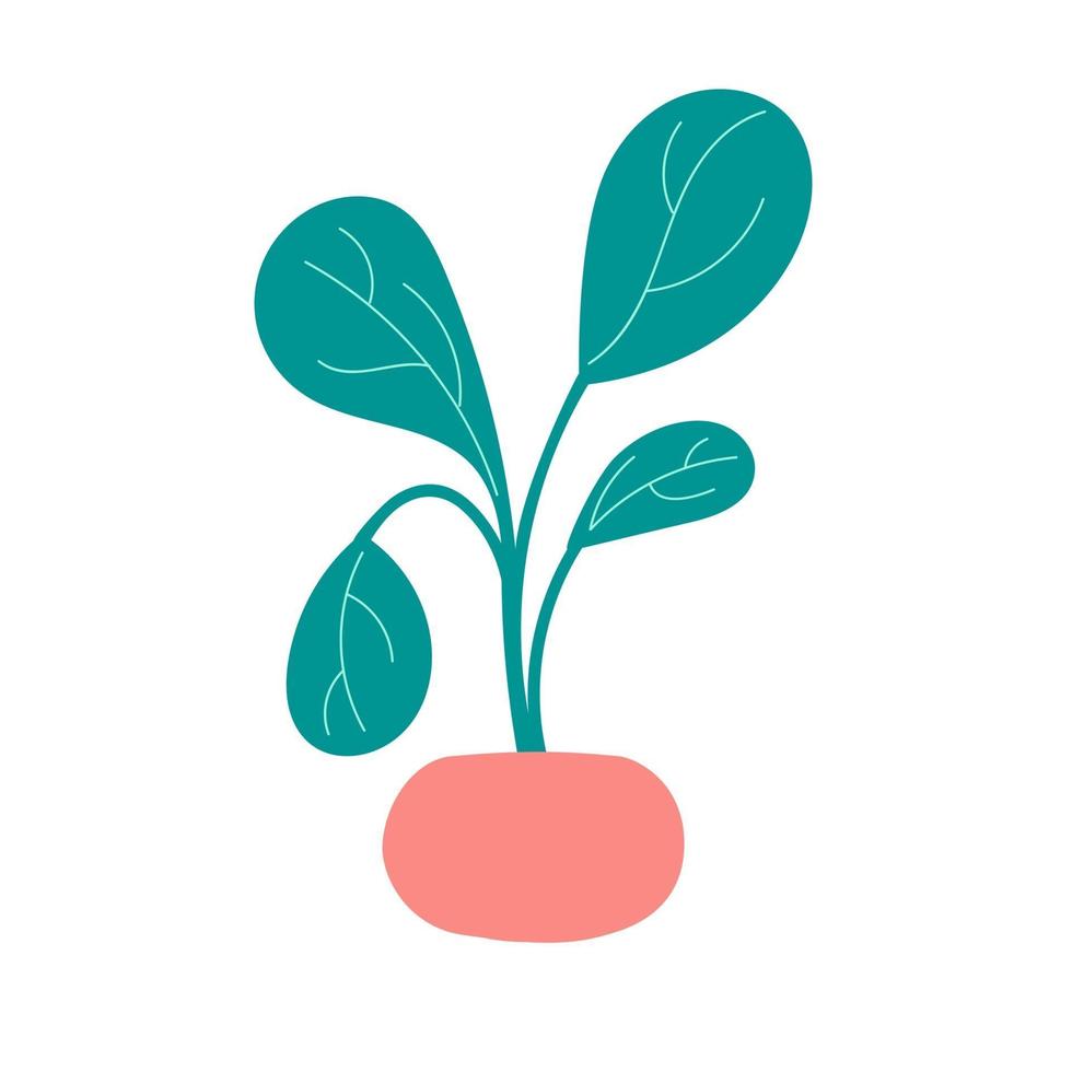 süße hausgemachte Pflanze. Hausblume mit grünen Blättern in einem rosa Topf. Vektor-Illustration im flachen Stil. Design für Postkarten, Einladungen, Druck vektor
