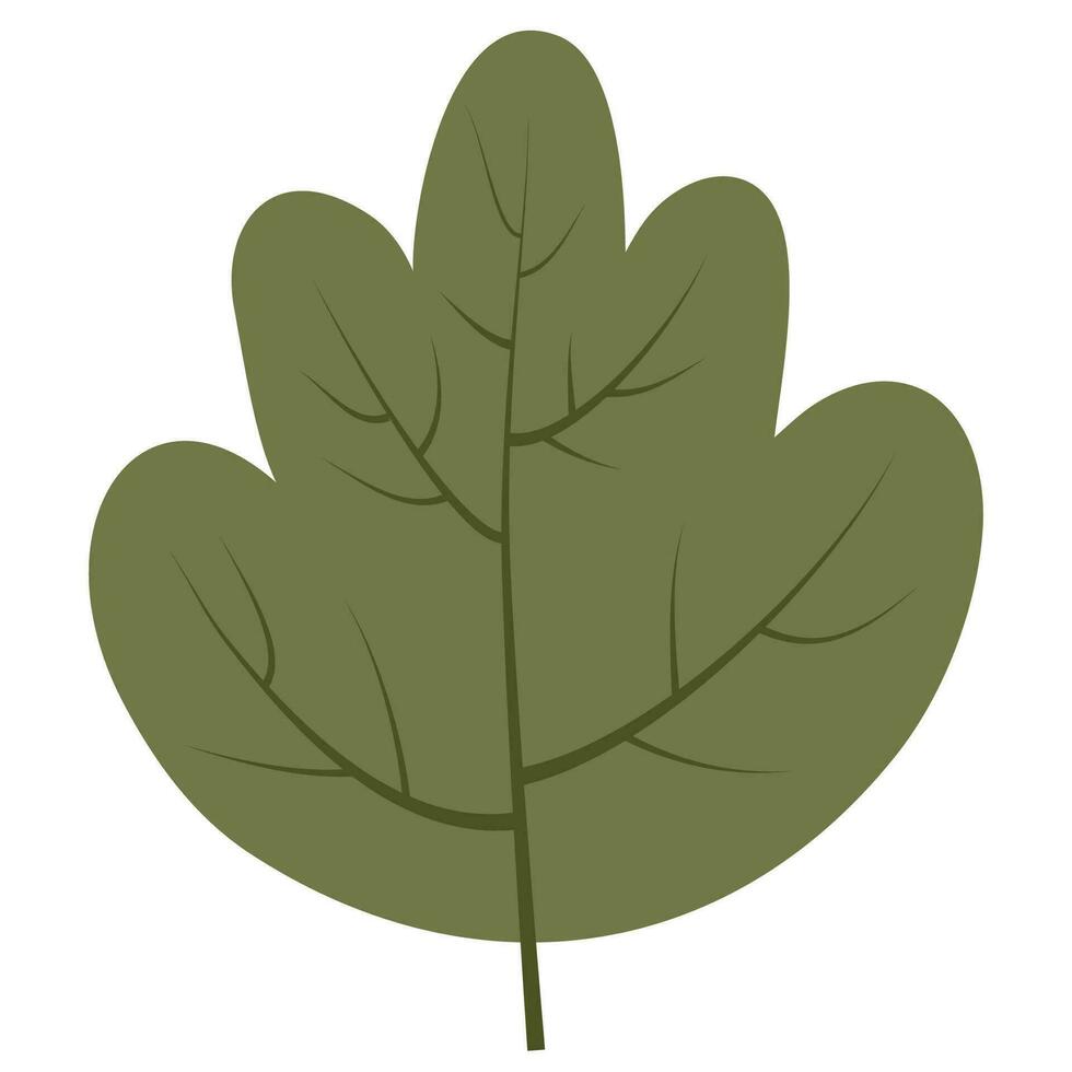 Herbst Blatt Grün vektor