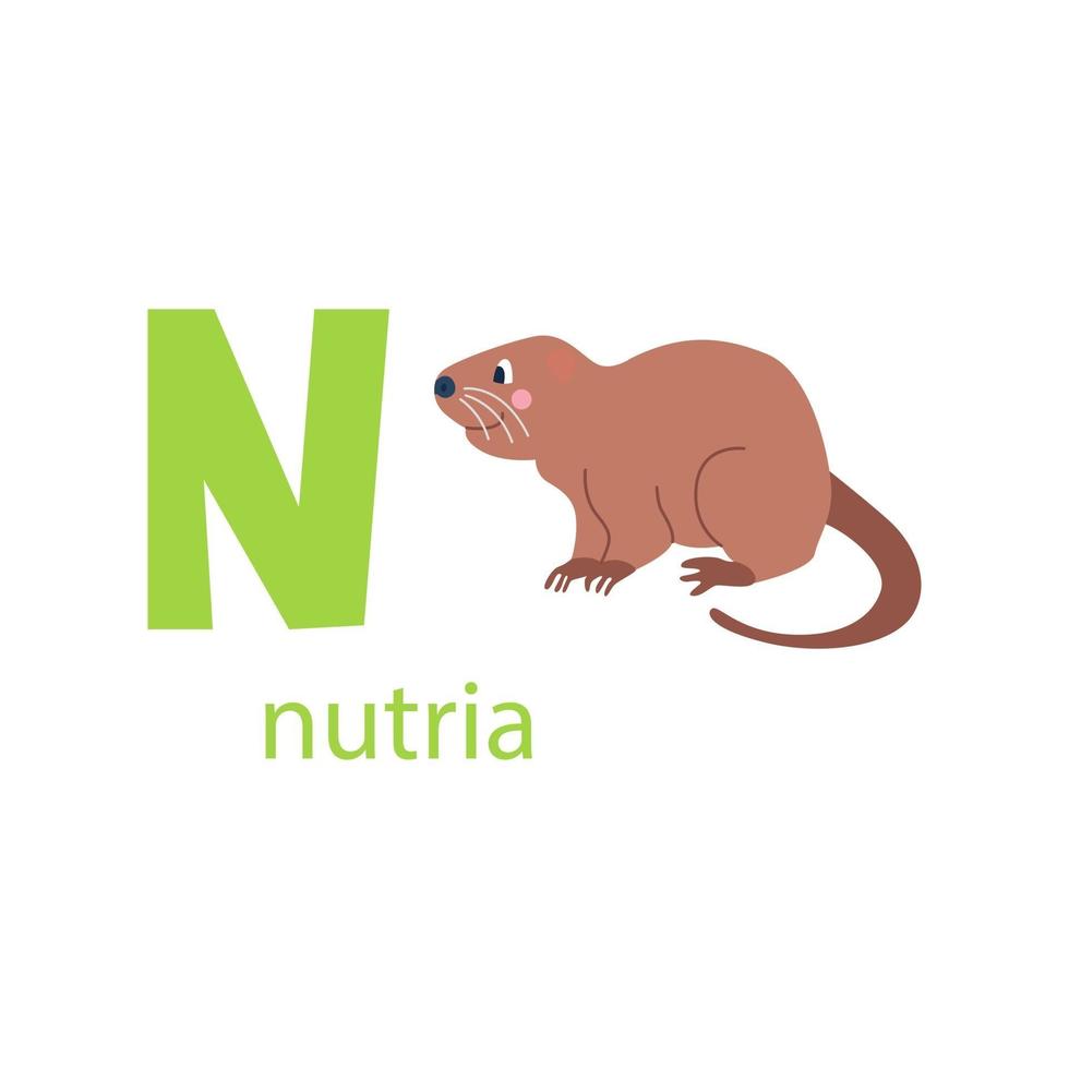 söta nutria-kort. alfabetet med djur. färgglad design för att lära barn alfabetet, lära sig engelska. vektorillustration i platt tecknad stil på en vit bakgrund vektor