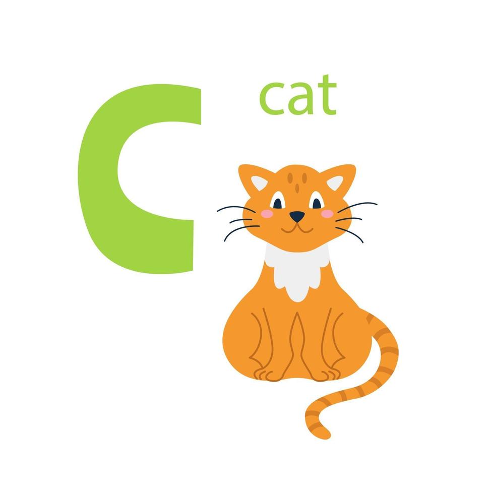 Karte einer süßen roten Katze. Alphabet mit Tieren. farbenfrohes Design, um Kindern das Alphabet beizubringen und Englisch zu lernen. Vektor-Illustration in einem flachen Cartoon-Stil auf weißem Hintergrund vektor