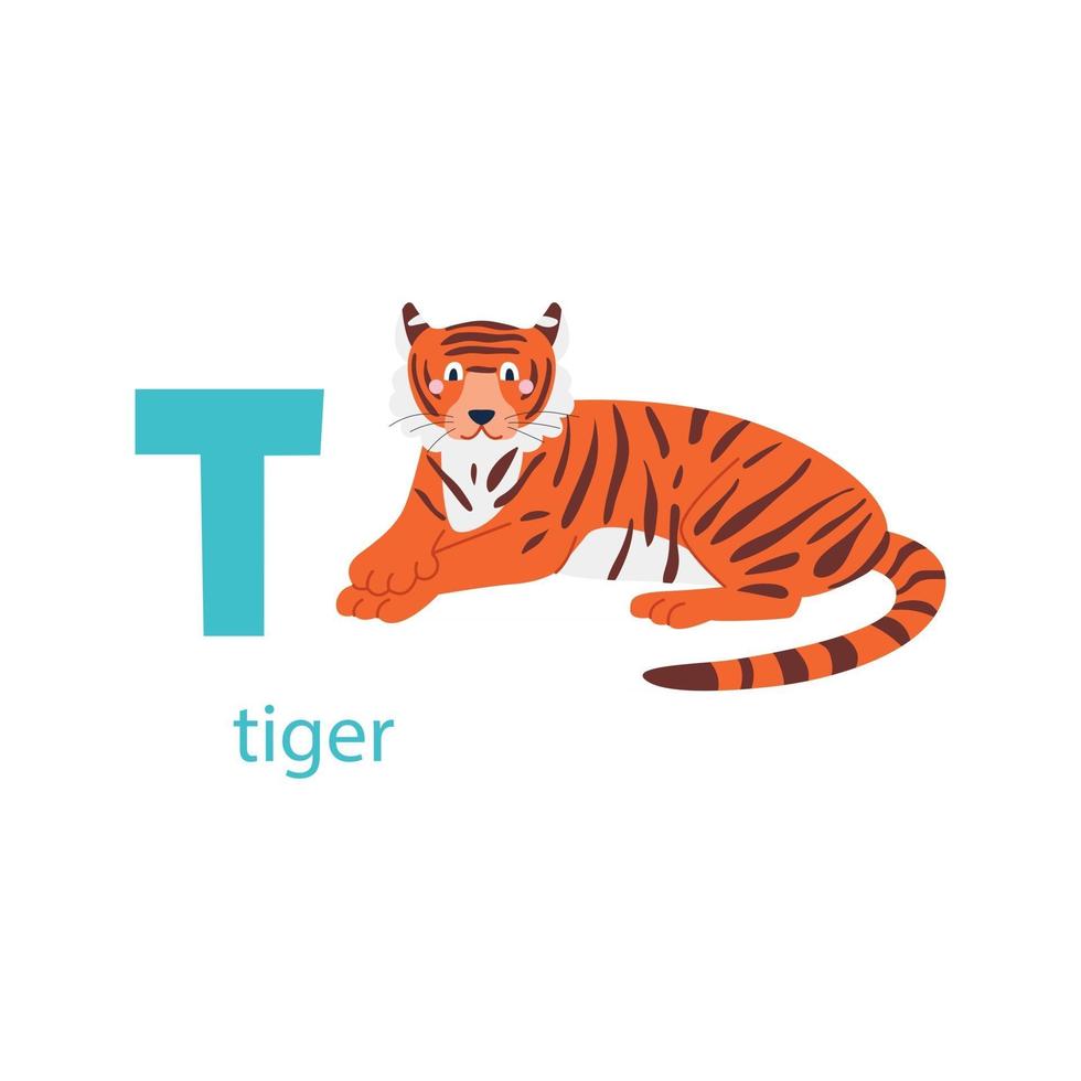 süße Tigerkarte. Alphabet mit Tieren. farbenfrohes Design, um Kindern das Alphabet beizubringen und Englisch zu lernen. Vektor-Illustration in einem flachen Cartoon-Stil auf weißem Hintergrund vektor