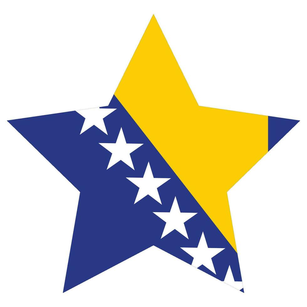Bosnien und Herzegowina Flagge. Flagge von Bosnien und Herzegowina Design Form. vektor