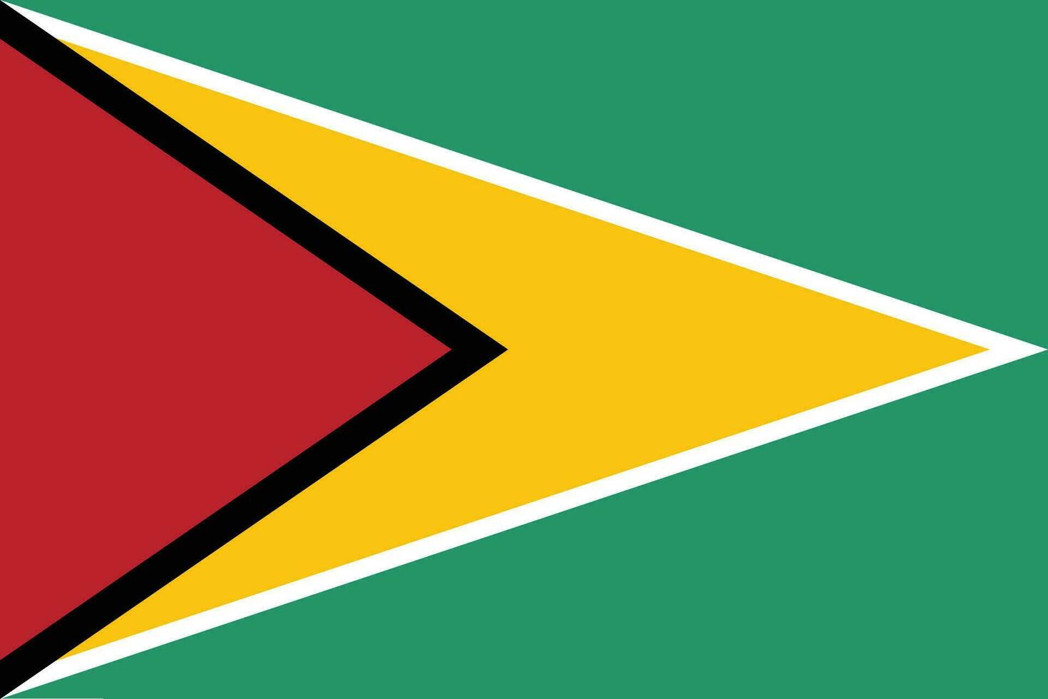 guyana flagga. flagga av guyana design form. vektor