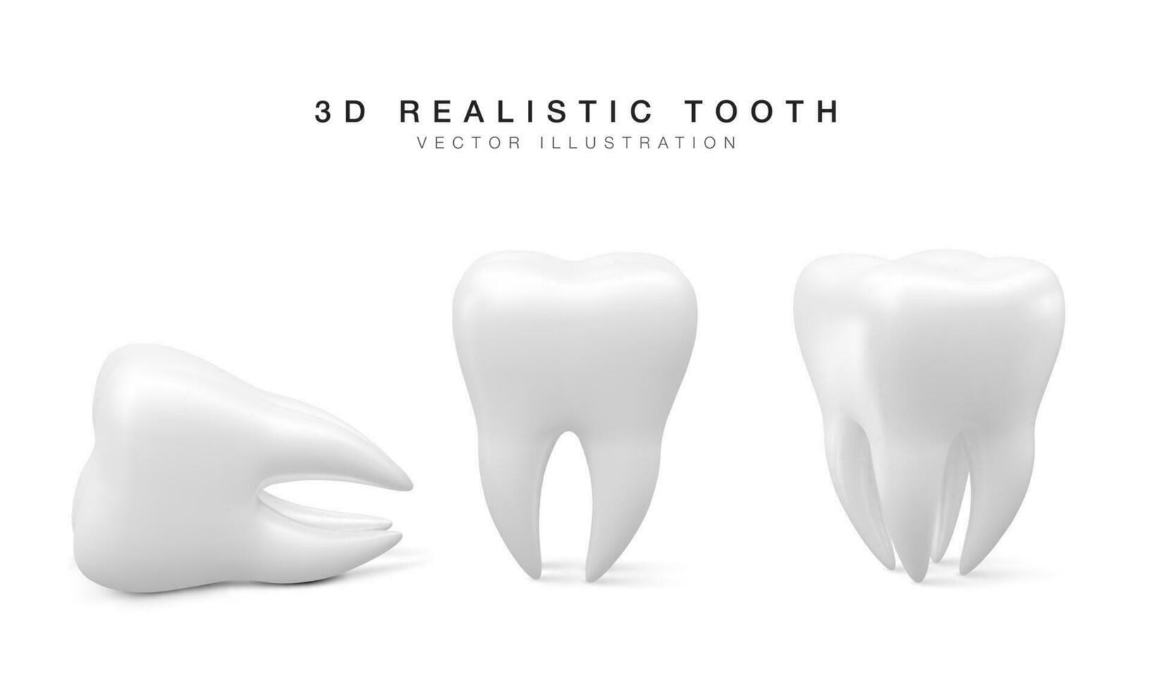 uppsättning av vit tand i annorlunda placera isolerat på vit bakgrund. begrepp av dental undersökning av tänder, dental hälsa och hygien. vektor illustration