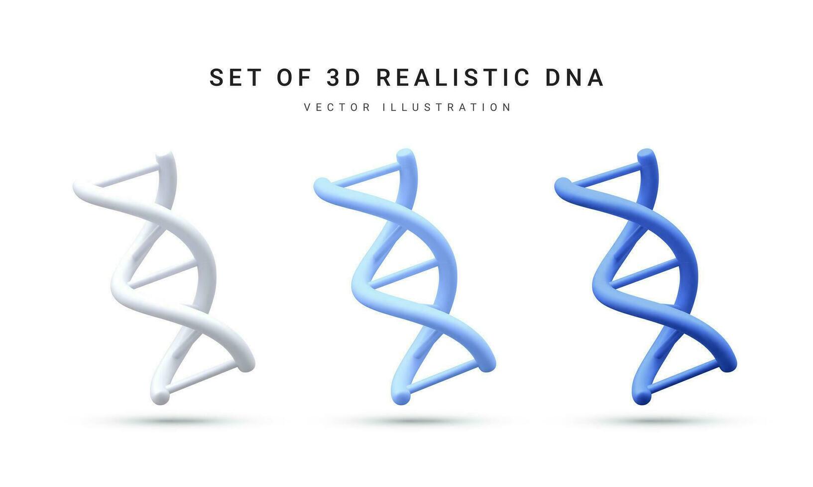 einstellen von 3d realistisch medizinisch Spiral- genetisch DNA zum molekular Chemie, Physik Wissenschaft, Biochemie im Karikatur Stil isoliert im Weiß Hintergrund. Vektor Illustration