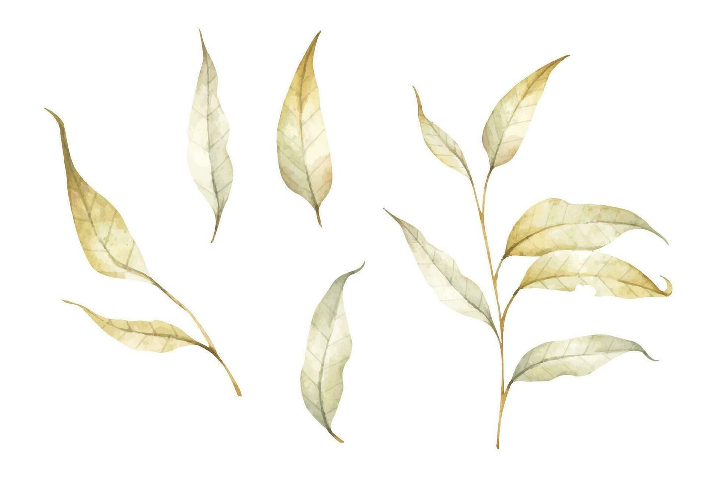Sammlung von mehrfarbig gefallen Herbst Blätter. Aquarell Illustration. vektor