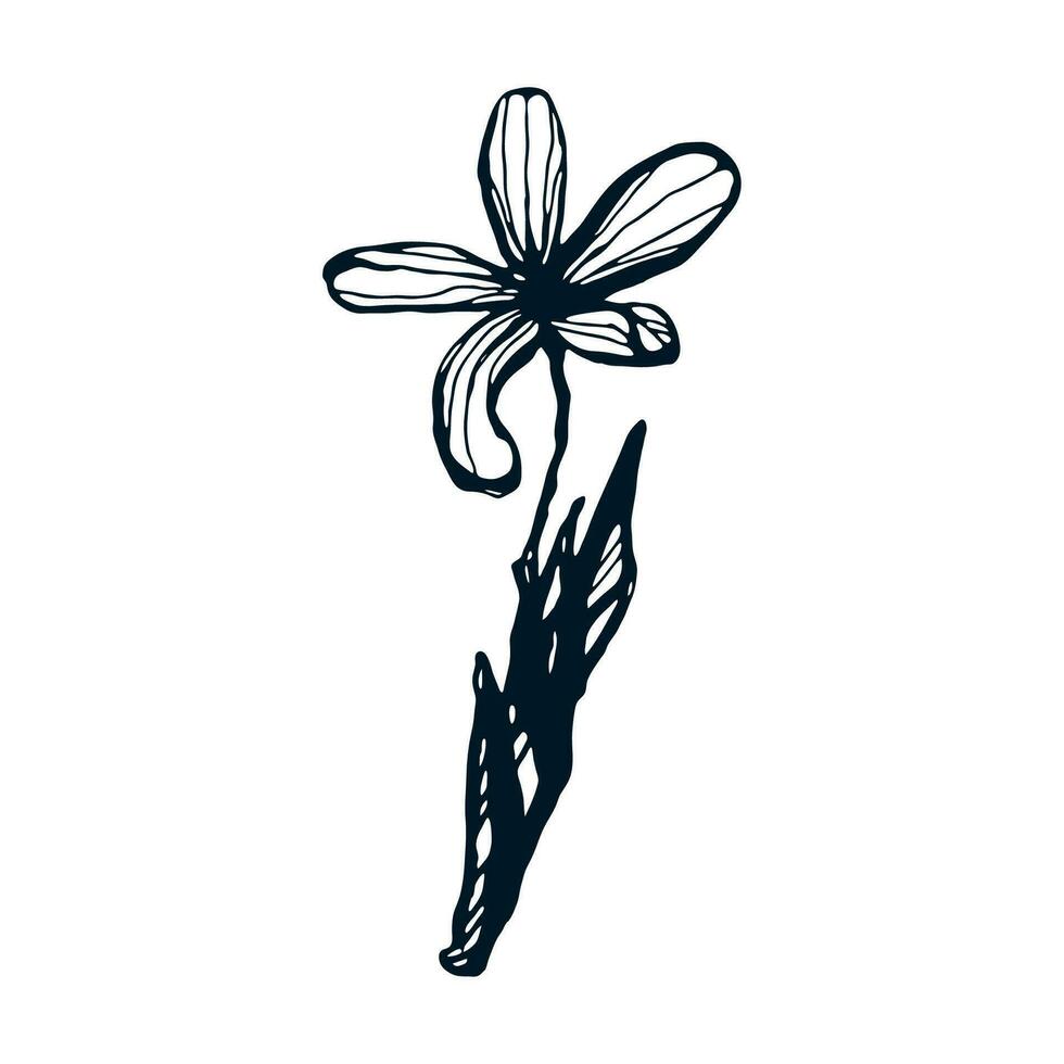 bläck illustration med 1 blomma. kreativ hand dragen blommor för affischer, inbjudningar, bröllop kort. silhuett blommor för feminin bakgrunder. vektor