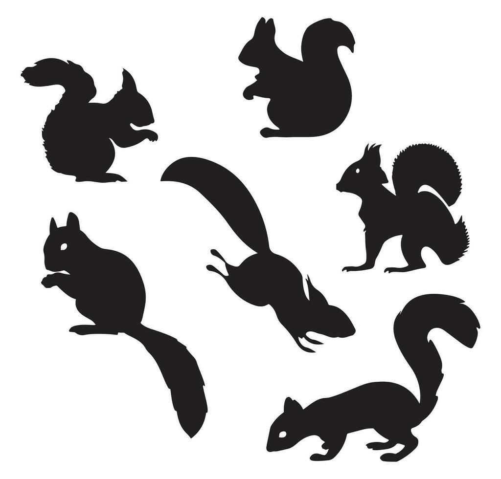 Eichhörnchen Silhouette. Satz. Vektor Illustration isoliert auf Weiß Hintergrund