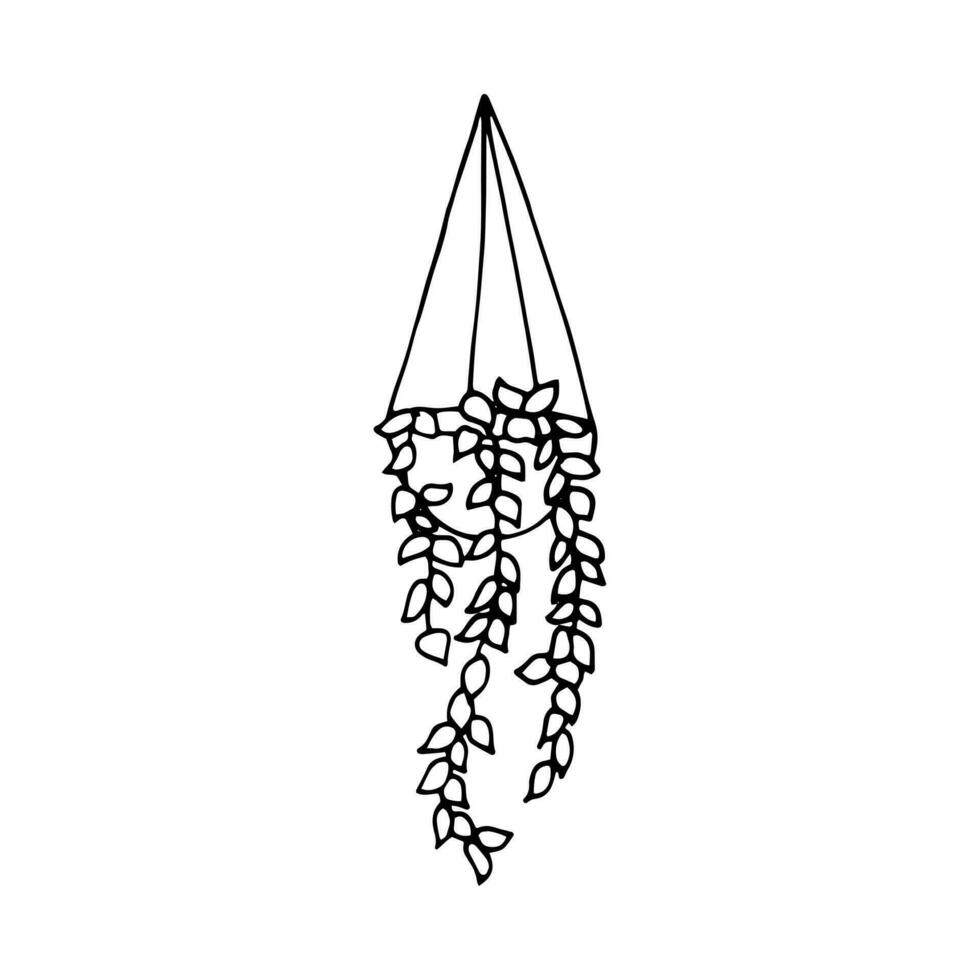 hängande växt, skön ritad för hand Hem dekoration isolerat på vit bakgrund vektor