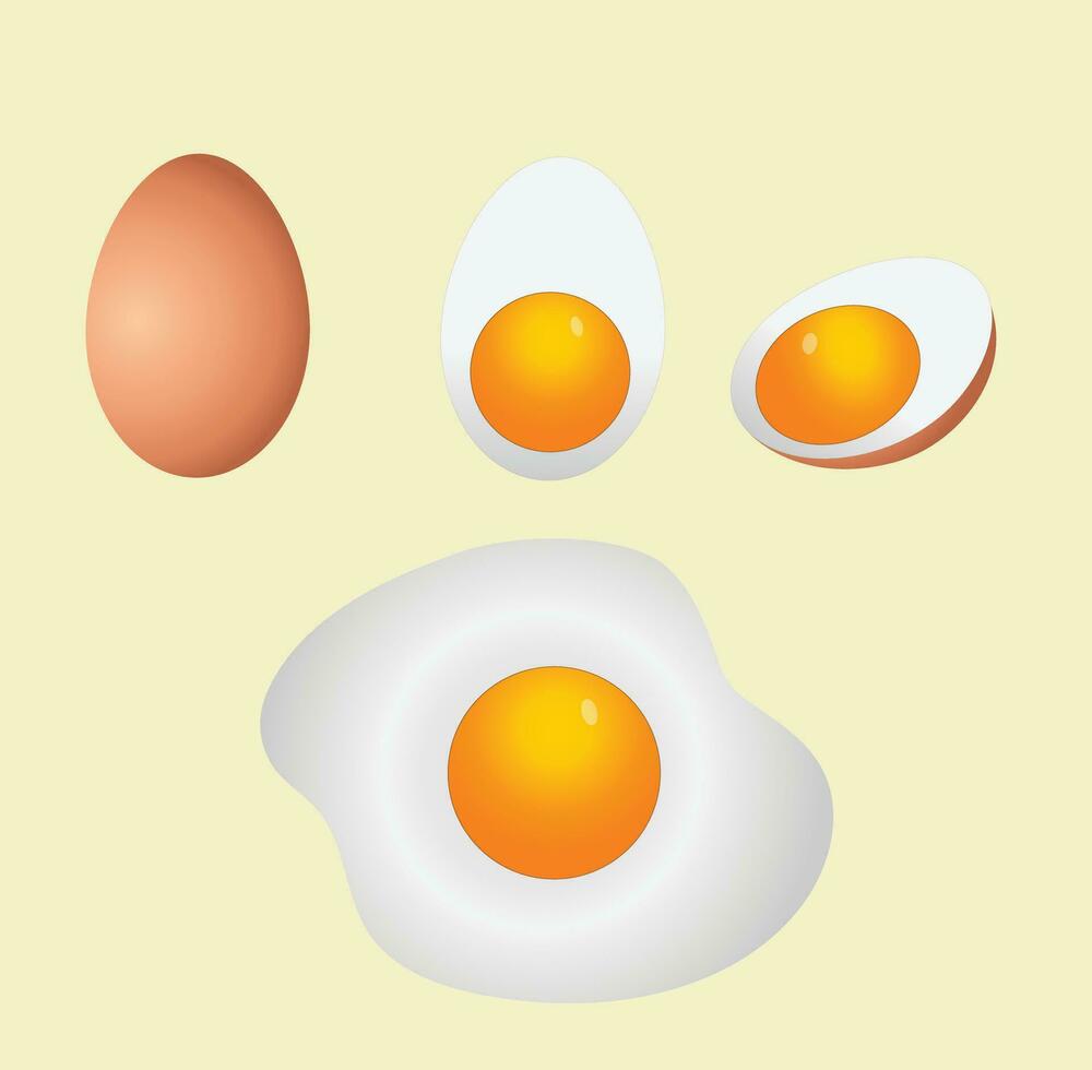 ägg med halv och friterad ägg vektor
