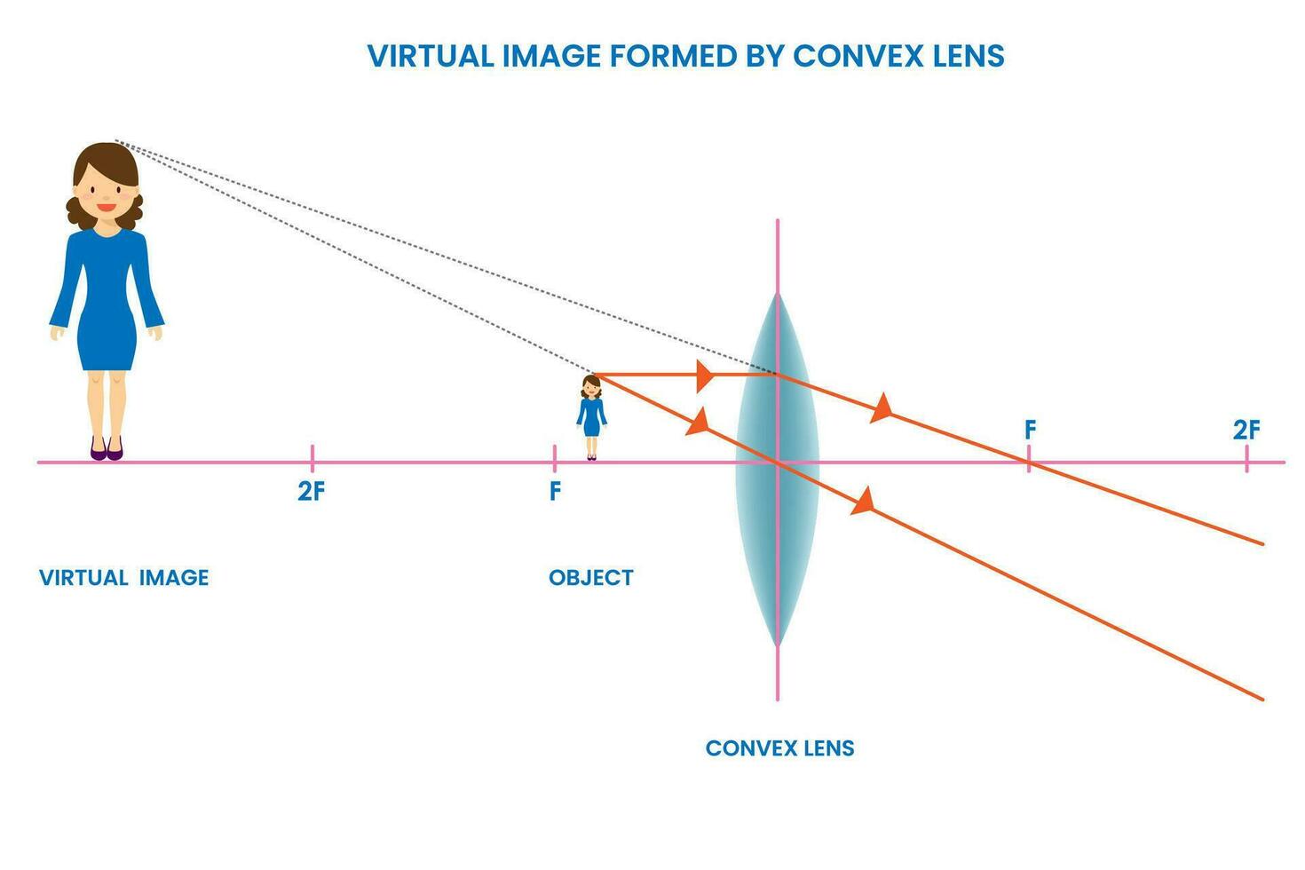 konvex Linse Formen virtuell Bild, aufrecht, gelegen hinter das Linse, kann nicht Sein projiziert vektor