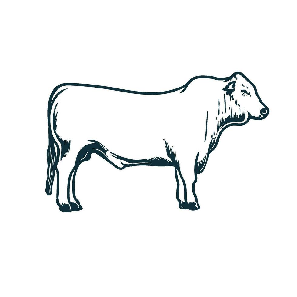 linje konst av ko, djur- nötkreatur vektor