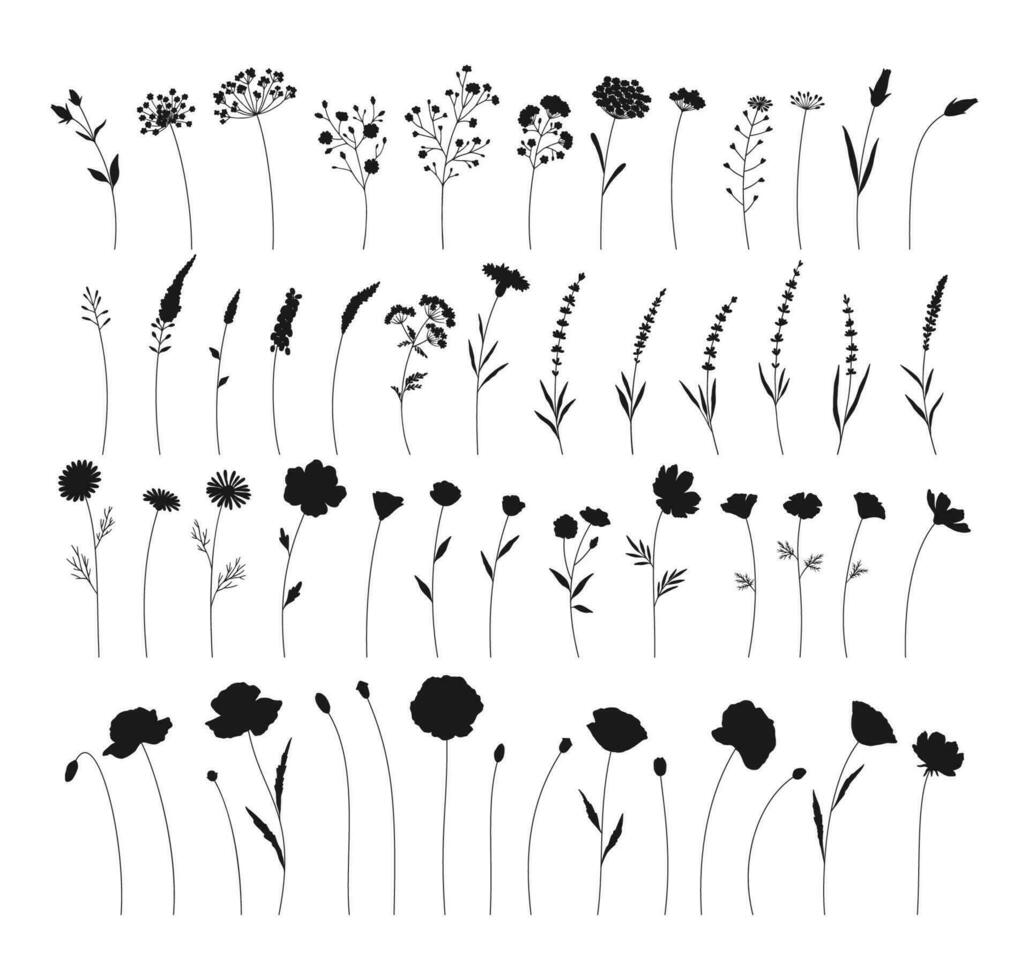 Wildblumen Satz, Kräuter, Blumen, Pflanzen Vektor Illustration.