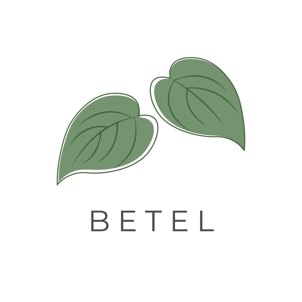 Grün Betel Blatt Illustration Logo vektor