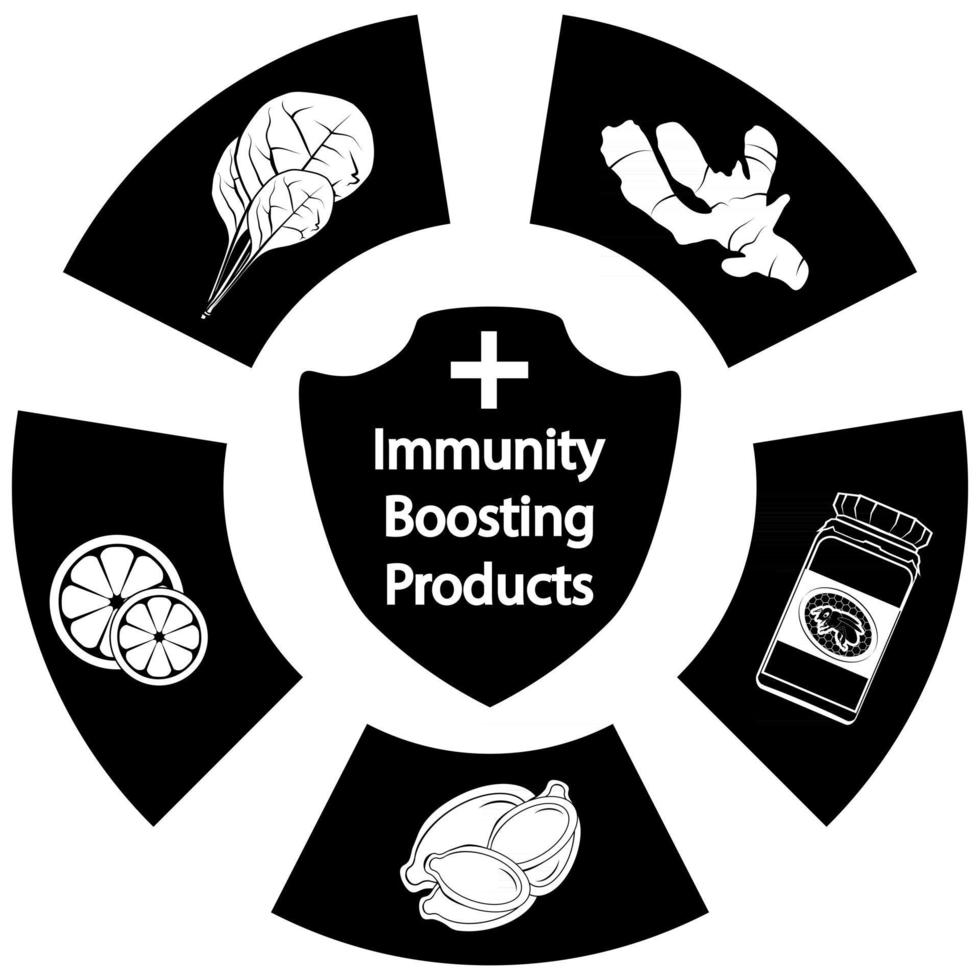 Konzept des Immunsystems. Produkte zur Stärkung der Immunität vektor