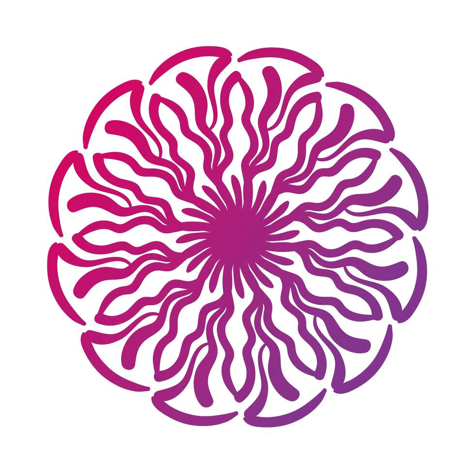 rosa cirkulär mandala blommig siluett stilikon vektor