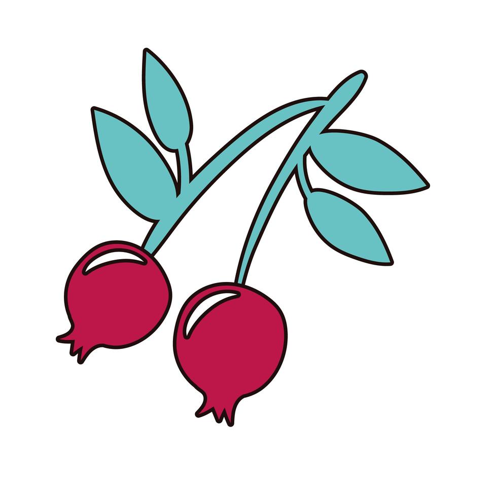 körsbär färsk frukt natur ikon vektor