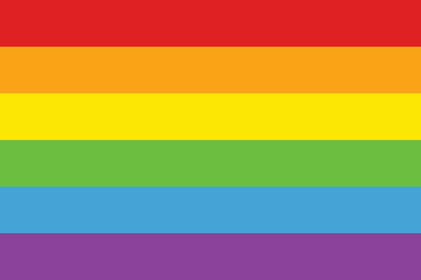 bild av ljus färgrik HBTQ regnbåge flagga vektor
