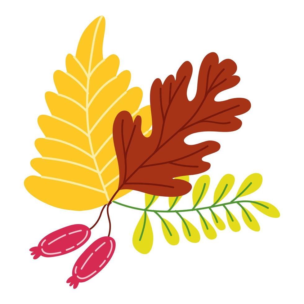 Herbstsaison Blätter vektor