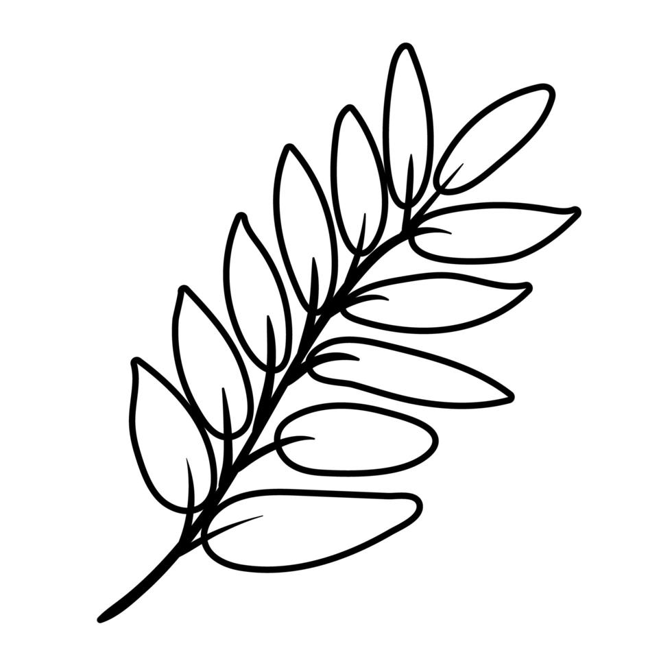 gren med blad botaniska linje stilikon vektor