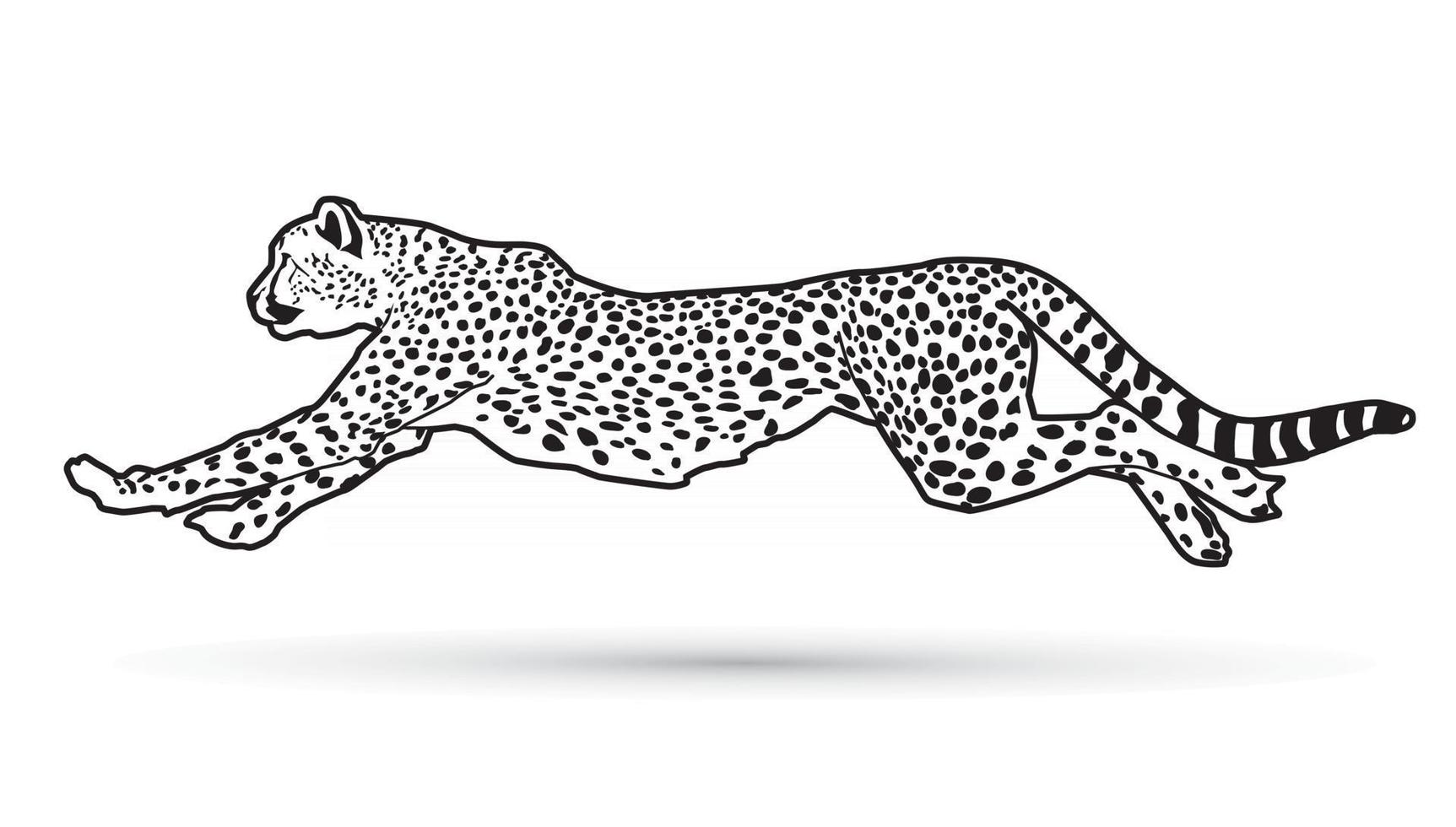 cheetah springande disposition vektor