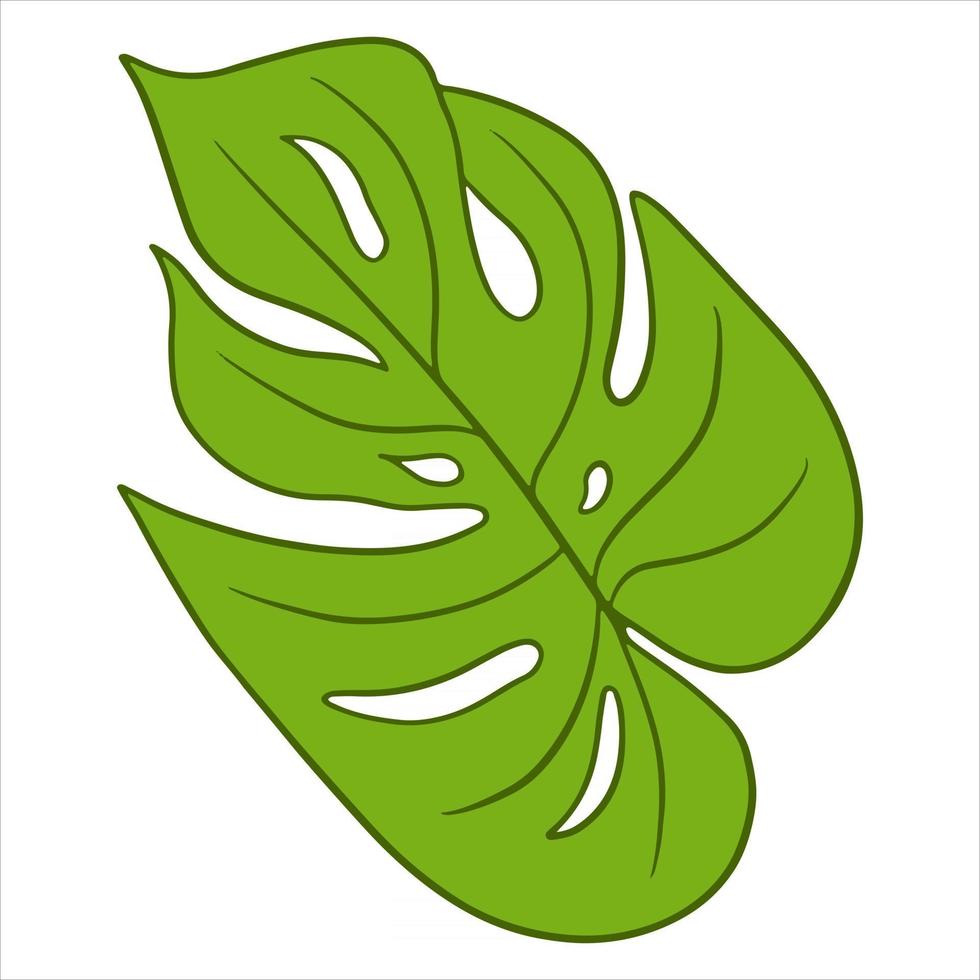 exotisch geschnitztes grünes Blatt der tropischen Pflanzen im Karikaturstil vektor