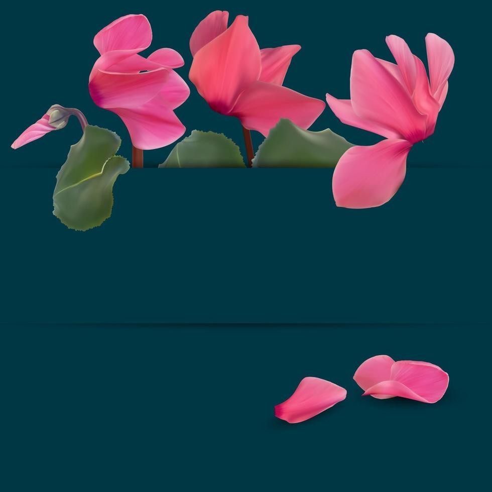 realistischer natürlicher Alpenveilchenblumenhintergrund. Cyclamen Hintergrund kann für Magazin, Web, Werbung verwendet werden. Vektorillustration vektor