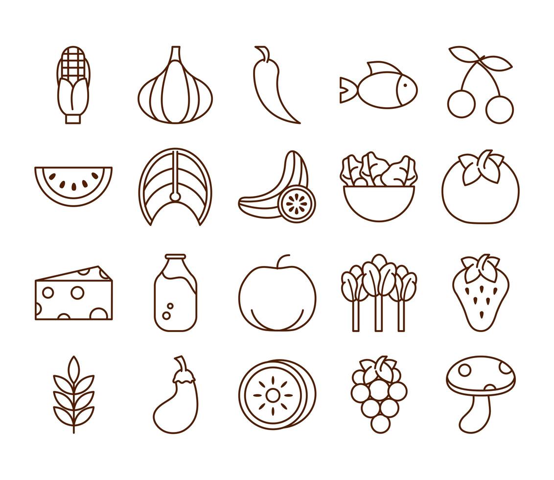 hälsosam mat färsk frukt grönsaker och protein ingrediensprodukter ikoner anger linje stilikon vektor