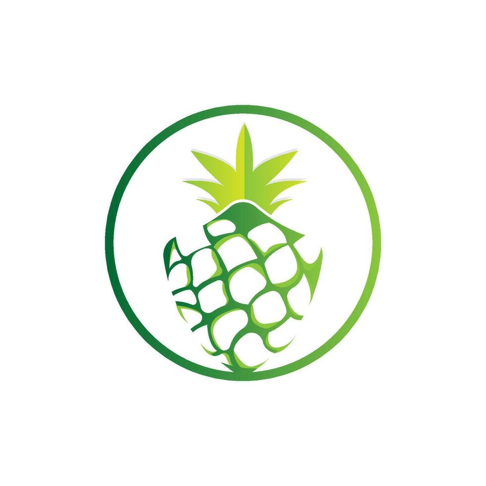 ananas logotyp design, färsk frukt vektor, plantage illustration, frukt produkt varumärke märka vektor