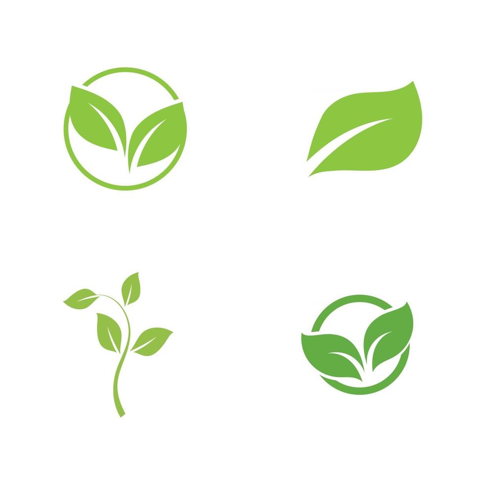 blad grön natur ekologi element vektorbild vektor