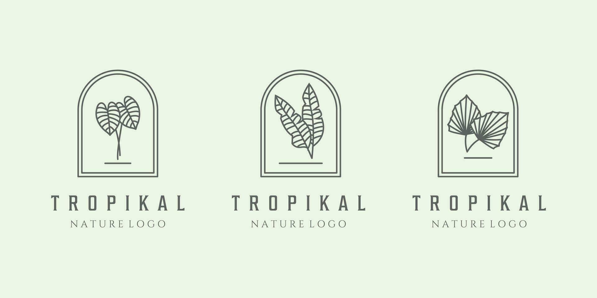 einstellen Symbol Abzeichen Blatt minimalistisch Logo Linie Kunst Natur Illustration von Baum tropisch Wald vektor