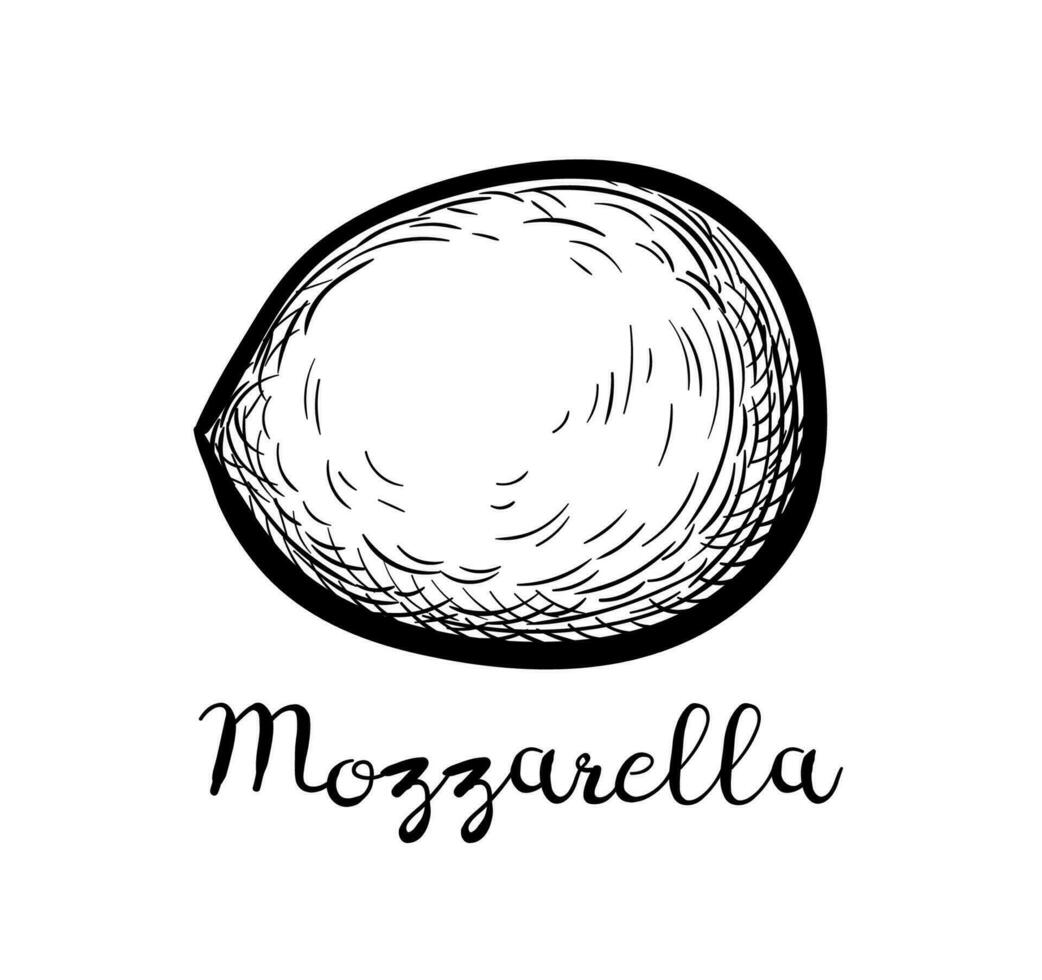 Mozzarella Käse. Tinte skizzieren isoliert auf Weiß Hintergrund. Hand gezeichnet Vektor Illustration. Jahrgang Stil Schlaganfall Zeichnung.