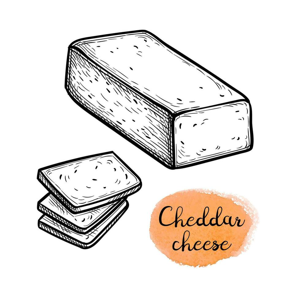 geschnitten Cheddar Käse. Tinte skizzieren isoliert auf Weiß Hintergrund. Hand gezeichnet Vektor Illustration. Jahrgang Stil Schlaganfall Zeichnung.