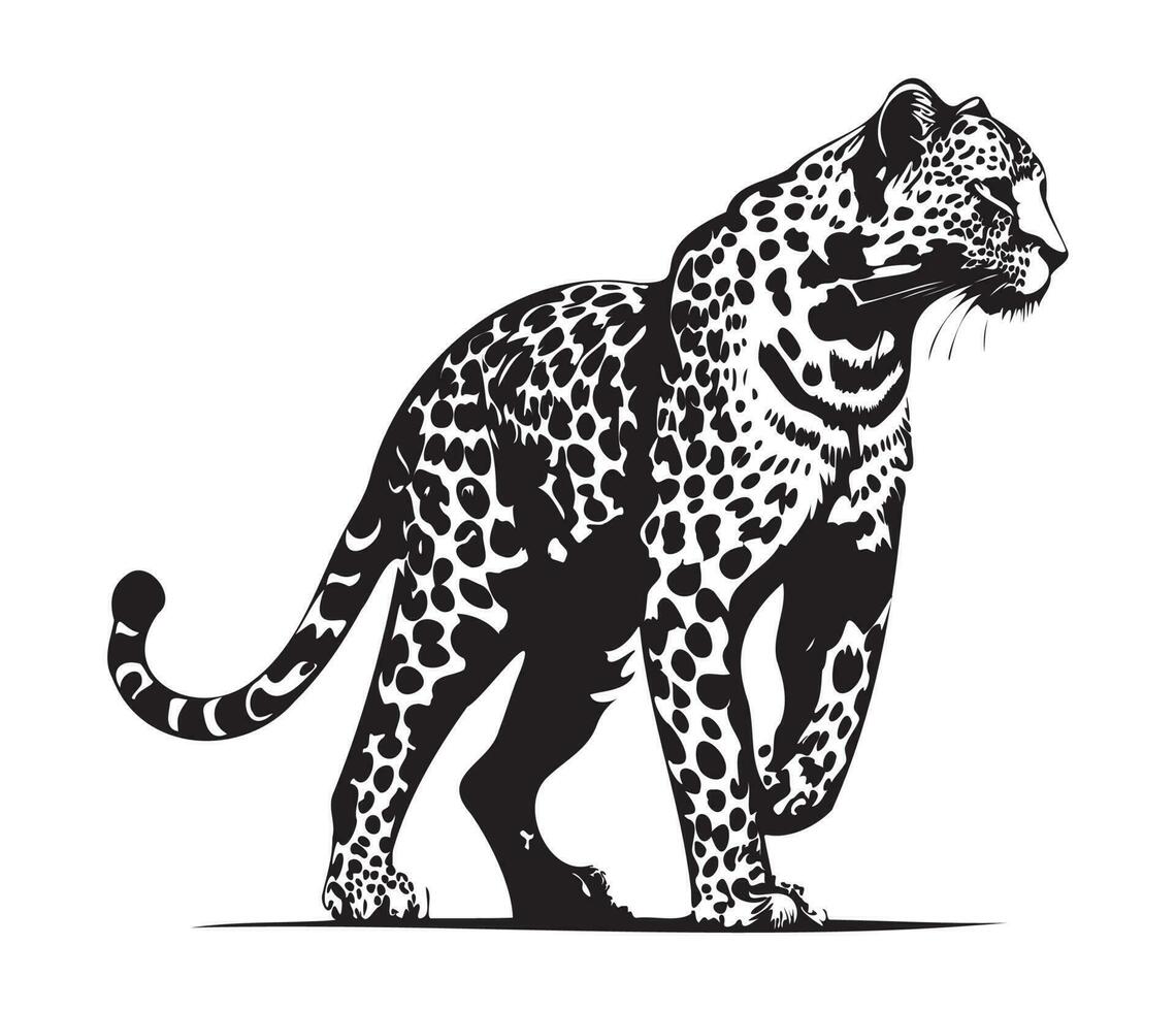 leopard, silhuetter leopard ansikte svg, svart och vit leopard vektor