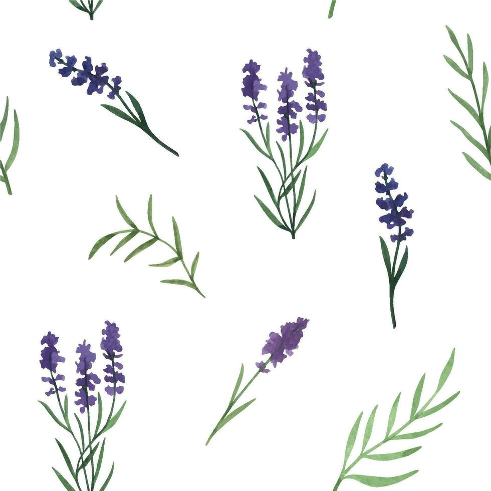 Provence Lavendel Blumen und Blätter nahtlos Muster. Hand gezeichnet Sommer- Aquarell vektor