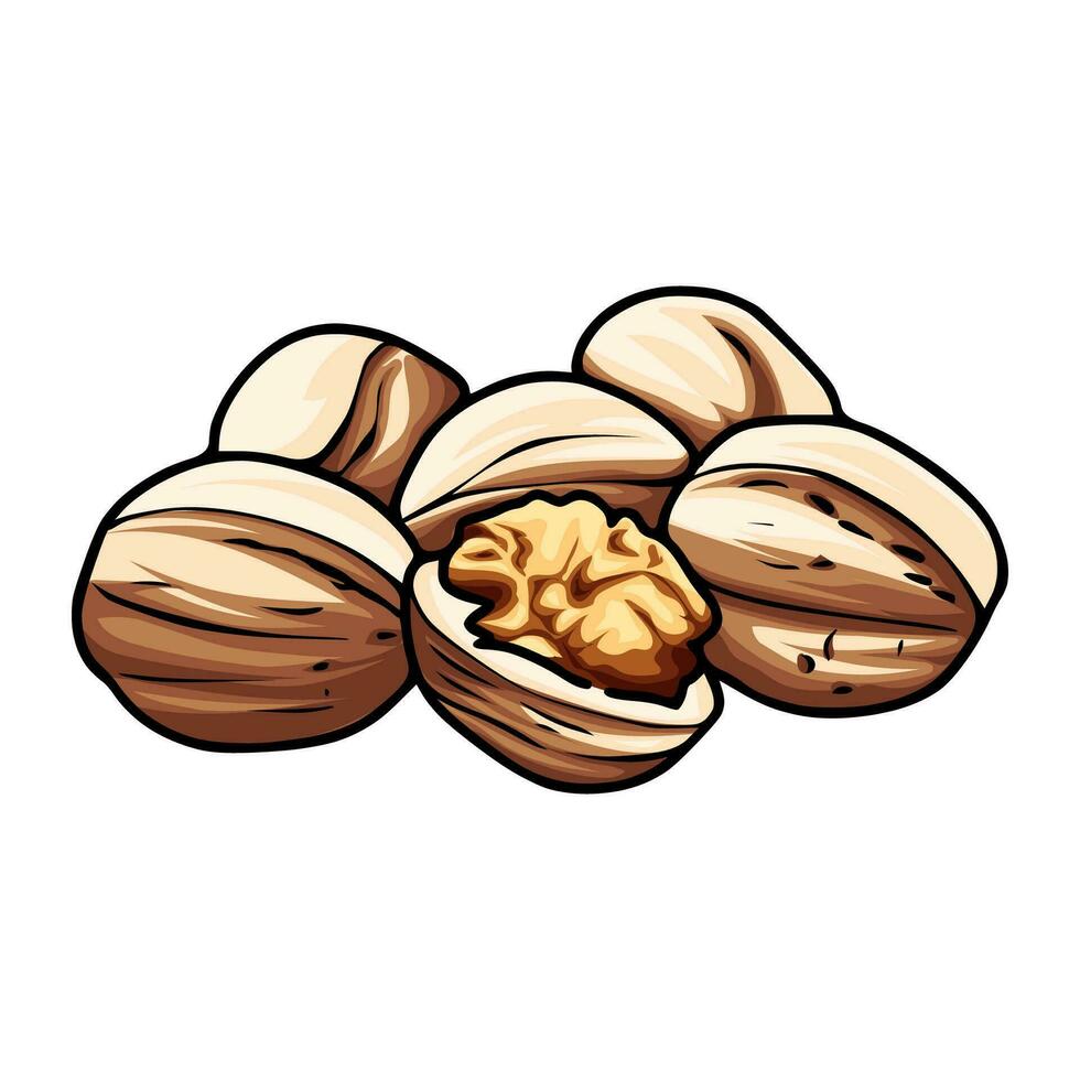 olika typer av nötter förbrukad vektor