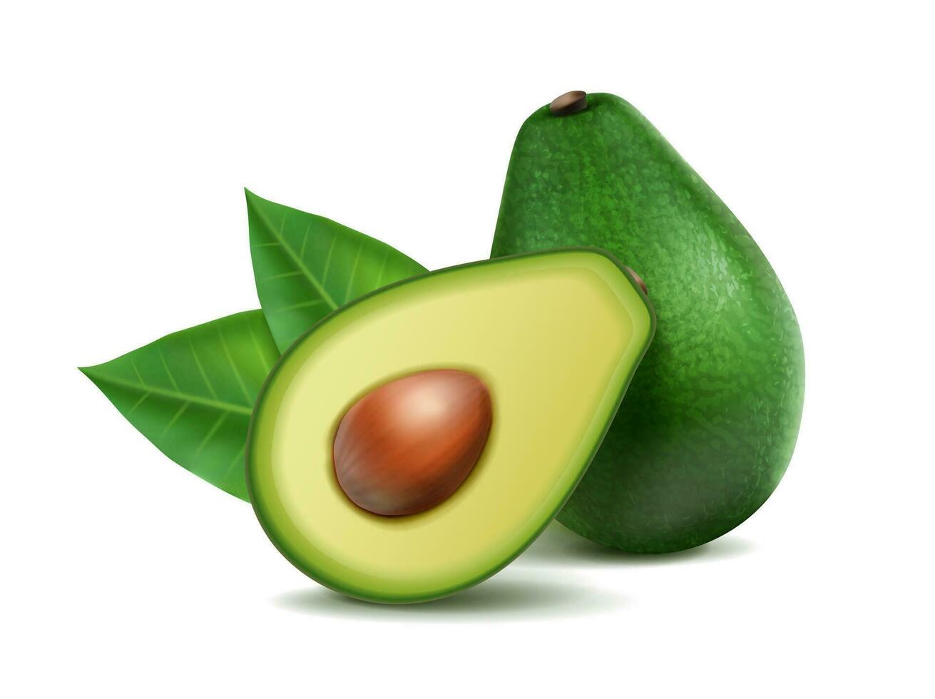 3d realistisch Vektor Symbol Satz. Avocado ganze und Hälfte. isoliert.